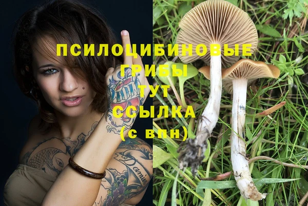 экстази Краснослободск