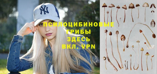 экстази Краснослободск